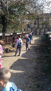 Műhely-és klubfoglalkozás - 2. félév #4