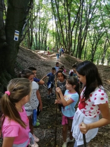 Tábor - 2. félév #3