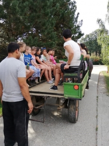 Tábor - 2. félév #1