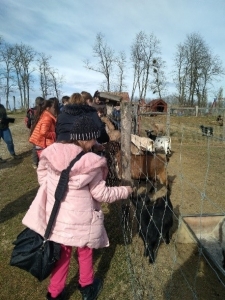 Tábor - 4. félév #4