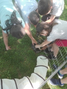 Témanap - Iskolásoknak - 1. félév #7