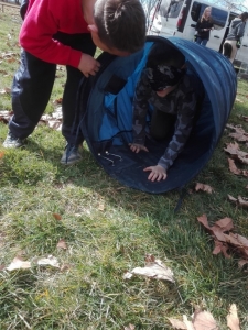 Témanap - Iskolásoknak - 1. félév #2