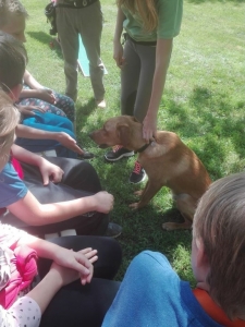 Témanap - Iskolásoknak - 1. félév #1