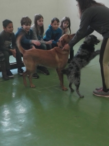 Témanap - Iskolásoknak - 1. félév #6