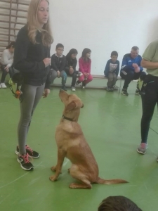 Témanap - Iskolásoknak - 1. félév #8