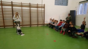 Témanap - Iskolásoknak - 2. félév #7