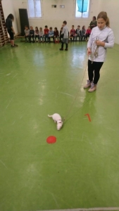 Témanap - Iskolásoknak - 2. félév #1