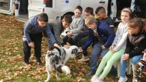 Témanap - Iskolásoknak - 2. félév #5