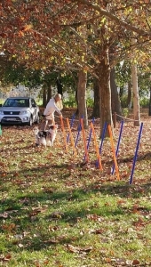 Témanap - Iskolásoknak - 2. félév #9