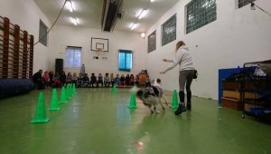 Témanap - Iskolásoknak - 2. félév #2