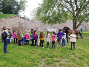 Témanap - Iskolásoknak - 3. félév #4