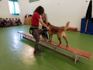 Témanap - Iskolásoknak - 3. félév #7