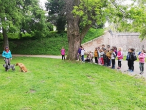 Témanap - Iskolásoknak - 3. félév #5