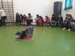 Témanap - Iskolásoknak - 3. félév #3