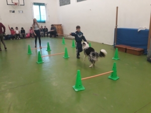 Témanap - Iskolásoknak - 3. félév #8