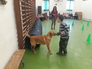 Témanap - Iskolásoknak - 3. félév #3