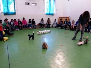 Témanap - Iskolásoknak - 3. félév #9