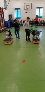 Témanap - Iskolásoknak - 4. félév #3