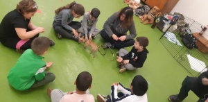 Témanap - Iskolásoknak - 4. félév #4