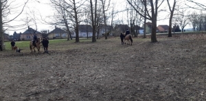 Témanap - Iskolásoknak - 4. félév #8