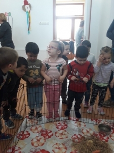 Témanap - Óvodásoknak - 2. félév #1