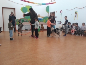 Témanap - Óvodásoknak - 2. félév #3