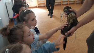 Témanap - Óvodásoknak - 3. félév #4