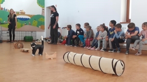 Témanap - Óvodásoknak - 3. félév #7