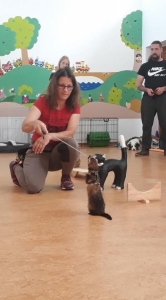 Témanap - Óvodásoknak - 3. félév #3