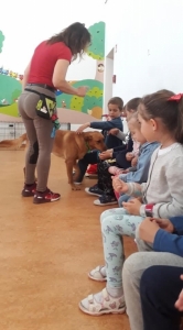 Témanap - Óvodásoknak - 4. félév #5