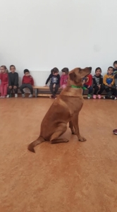 Témanap - Óvodásoknak - 4. félév #2