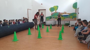 Témanap - Óvodásoknak - 4. félév #8