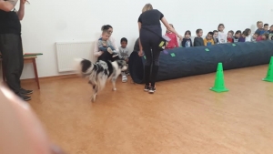 Témanap - Óvodásoknak - 4. félév #4