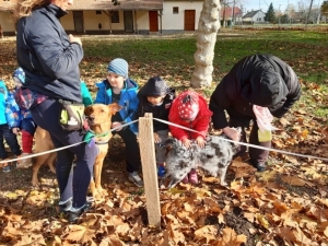 Témanap - Óvodásoknak - 4. félév #6